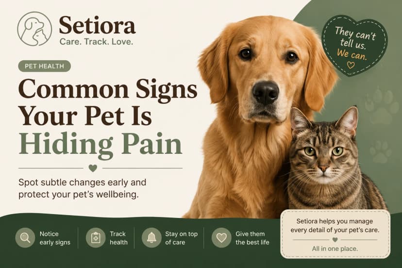 Common Signs Your Pet Is Hiding Pain
