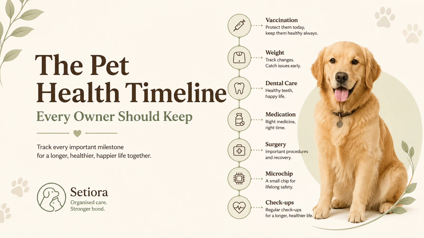 The Pet Health Timeline Every Owner Should Keep