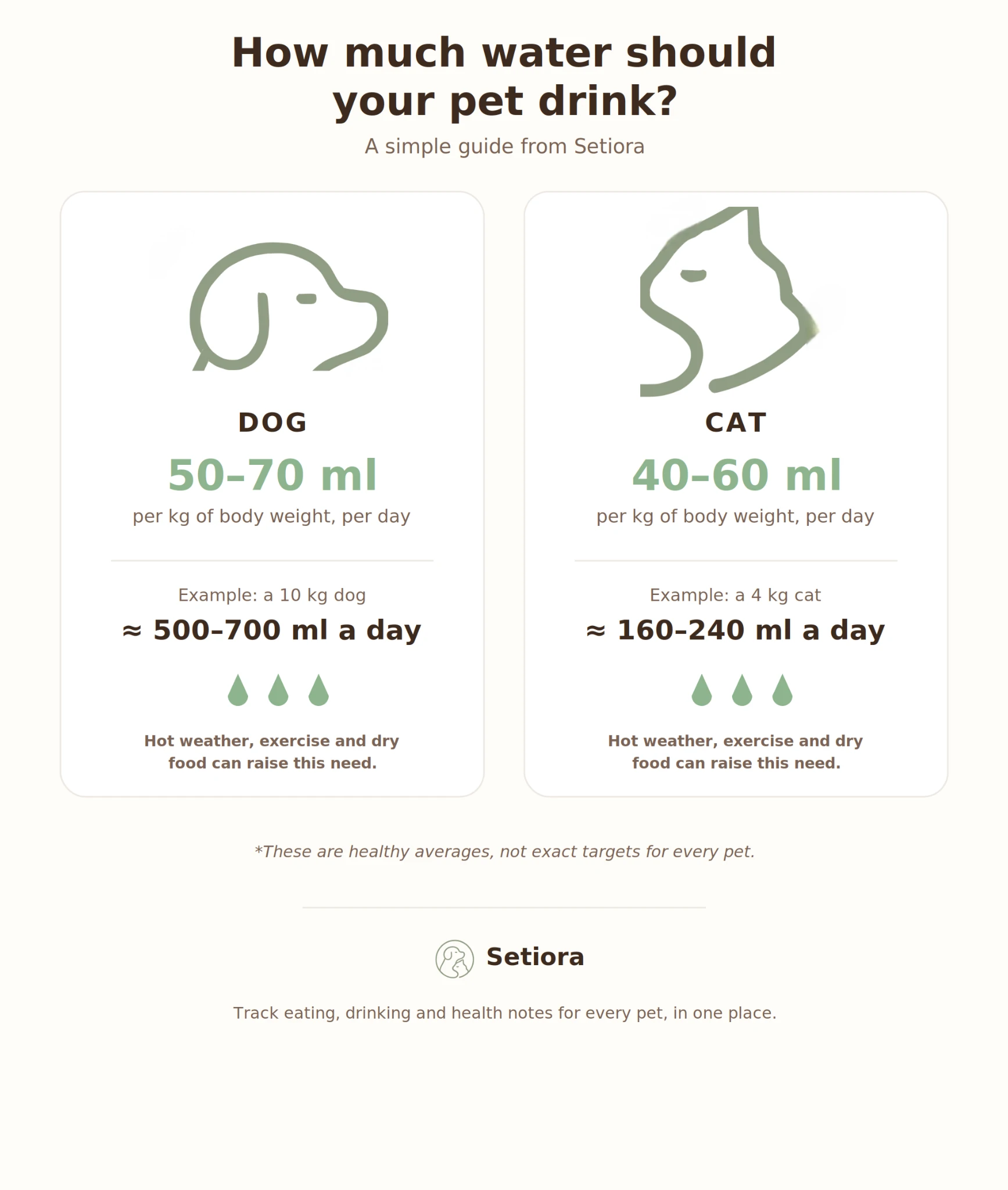 Dog vs Cat daily water requirements