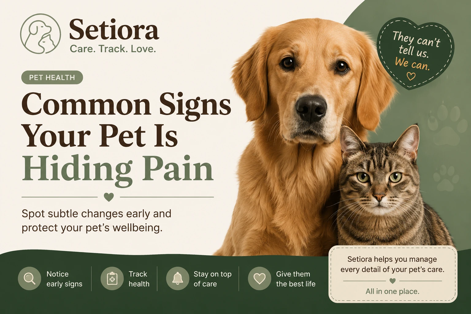 Common signs your pet is hiding pain